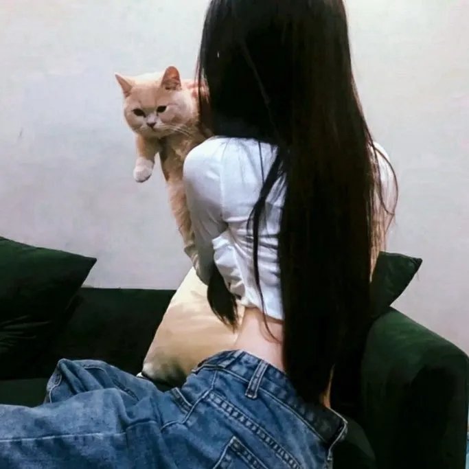 美丽的凯特
